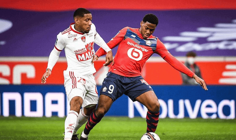 技战术指导 技战术指导