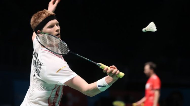 结论性分析 结论性分析