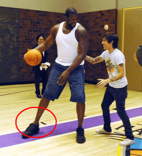 节拍器训练 节拍器训练